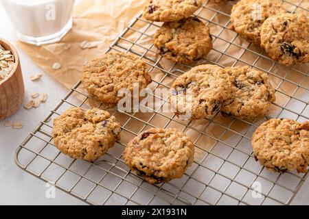 Frühstücksplätzchen mit Hafer, Nüssen und getrockneten Preiselbeeren Stockfoto