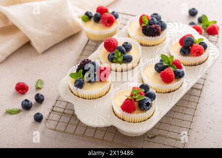 Mini-Vanillekäsekuchen in einer Muffinpfanne serviert mit frischen Beeren Stockfoto
