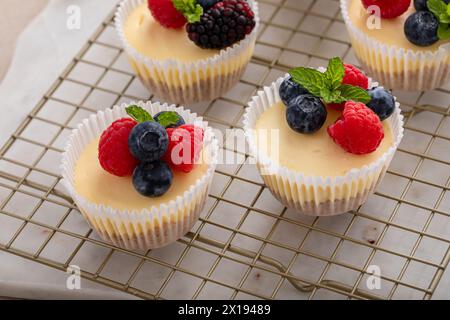 Mini-Vanillekäsekuchen in einer Muffinpfanne serviert mit frischen Beeren Stockfoto