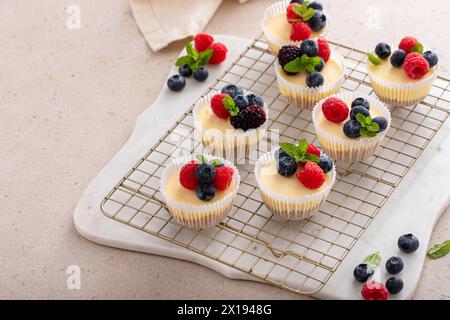 Mini-Vanillekäsekuchen in einer Muffinpfanne serviert mit frischen Beeren Stockfoto
