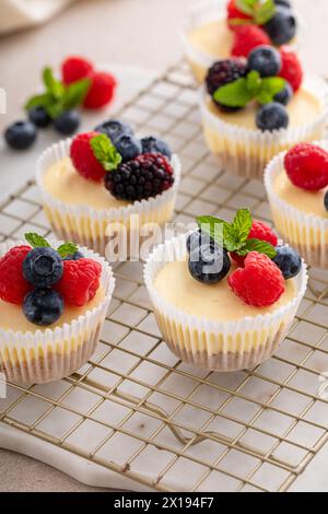 Mini-Vanillekäsekuchen in einer Muffinpfanne serviert mit frischen Beeren Stockfoto