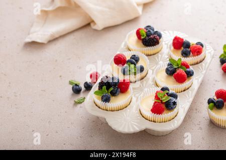 Mini-Vanillekäsekuchen in einer Muffinpfanne serviert mit frischen Beeren Stockfoto