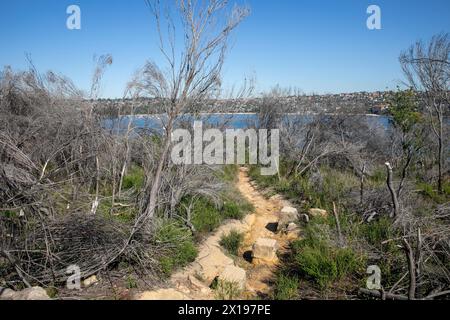 Leuchtturmwanderweg am Dobroyd Head führt zum Leuchtturm Grotto Point am Hafen von Sydney, NSW, Australien mit Blick auf Balmoral Beach Stockfoto