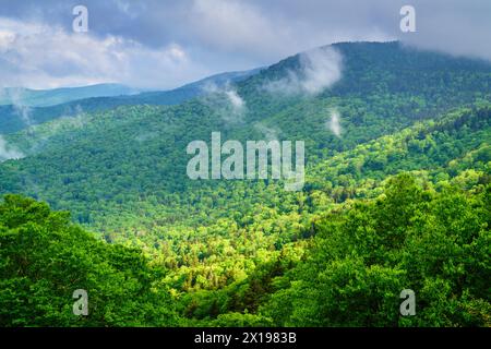 Malerischer Blick auf die Smokie Mountains vom Blue Ridge Parkway in der Nähe von Maggie Valley, North Carolina Stockfoto