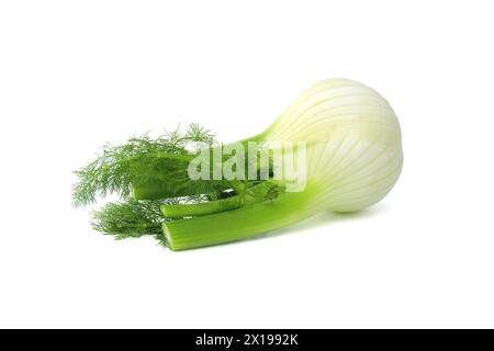 Ganze Fenchelzwiebeln überwiegend hellgelb, mit kontrastierenden Grüntönen an den Stielen und gefiederten Blättern isoliert auf weißem Hintergrund Stockfoto