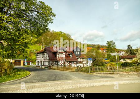 Eine kurze Wanderung von Bad Liebenstein zum Rennsteig, inklusive Frühlingserwachen im Altensteinpark bei herrlichem Sonnenschein - Thüringen - Deutsch Stockfoto