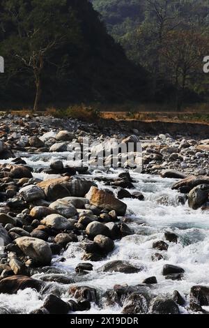 terai-Dooars Region von westbengalen bei Dudhia. Wunderschöner Gebirgsbach (Balason-Fluss), der durch das Tal fließt, himalaya-Ausläufer in indien Stockfoto