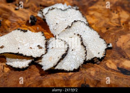 Scheiben italienischer schwarzer Sommertrüffel, leckere aromatische Pilze, Nahaufnahme Stockfoto