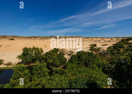 Die weißen Sanddünen mit dem See Lotus bei Mui ne in Vietnam Stockfoto