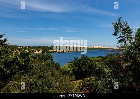 Die weißen Sanddünen mit dem See Lotus bei Mui ne in Vietnam Stockfoto