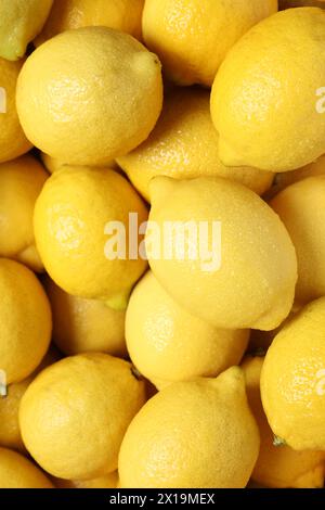 Frische Zitronen mit Wassertropfen als Hintergrund, Nahaufnahme Stockfoto