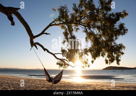 Weiblich, die sich in einer Hängematte von einem Baum an einem tropischen Strand entspannen Stockfoto