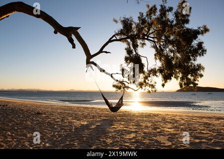 Weiblich, die sich in einer Hängematte von einem Baum an einem tropischen Strand entspannen Stockfoto