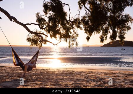 Weiblich, die sich in einer Hängematte von einem Baum an einem tropischen Strand entspannen Stockfoto