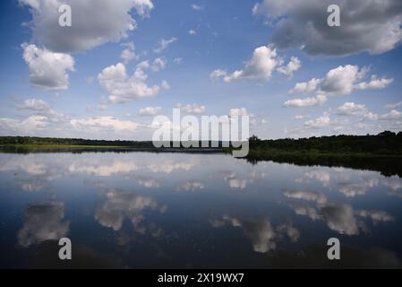 Beim Blick auf den ruhigen Nil im Murchison Falls National Park, Uganda, wird man Zeuge eines ruhigen Spektakels, während sich flauschige Wolken anmutig über spiegeln Stockfoto