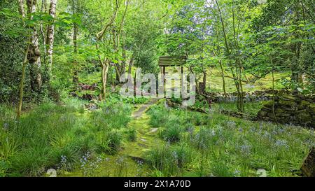 Ein ruhiger Garten mit Treppensteinpfaden, hohen Bäumen und moosigem Boden. Stockfoto