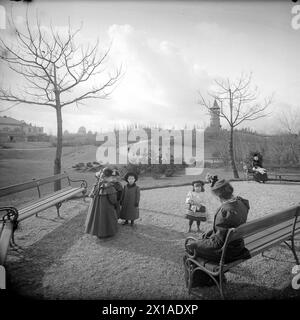 Wien 18, Tuerkenschanzpark, Blick zum Aussichtsturm, Restaurierung und Observatorium, 1900 - 19000101 PD56087 - Rechteinfo: Rights Managed (RM) Stockfoto