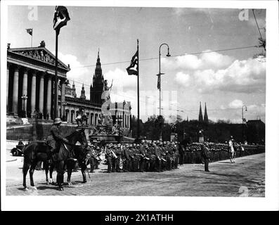 Wien feiert den Geburtstag Adolf Hitler, österreichisches Militär in Paradeposition vor dem parlament. Im Hintergrund Rathaus und rechts die Türme der Votivkirche, 20.04.1938 - 19380420 PD0059 - Rechteinfo: Rights Managed (RM) Stockfoto