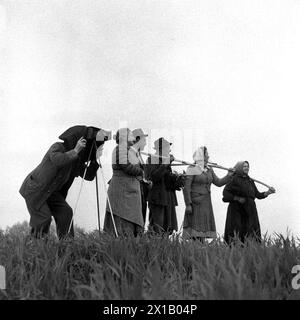 Transport des Pummerins von Linz nach Wien, Fotograf und Zuschauer am Straßenrand, 26.04.1952 - 19520426 PD0022 - Rechteinfo: Rights Managed (RM) Stockfoto