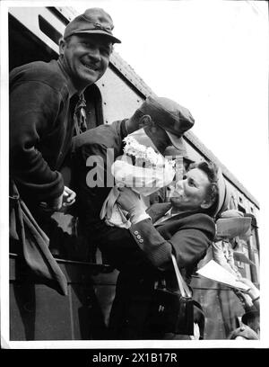 Home Kommen eines österreichischen Kriegsgefangenen, Homecomer lehnt sich aus dem Zugfenster, eine Frau, die sich einem Homecomer eines Blumenstraußes aufgibt, diese Umarmung, 04.06.1955 - 19550604 PD0004 - Rechteinfo: Rights Managed (RM) Stockfoto