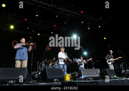 Steve Riley und die Mamou Playboys treten während des WOMAD Festivals 2013 auf, das im Charlton Park in Wiltshire stattfindet. Stockfoto