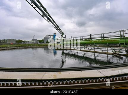 16. April 2024, Brandenburg, Münchehofe: Ein Filterbecken der Kläranlage Münchehofe der Berliner Wasserbetriebe. Die Kläranlage Münchehofe befindet sich im brandenburgischen Stadtteil Märkisch-Oderland, nahe der Grenze zu Berlin. Auch das Abwasser der Firma Tesla wird hier im Auftrag des Wasserverbandes Strausberg-Erkner (WSE) behandelt. Foto: Patrick Pleul/dpa Stockfoto