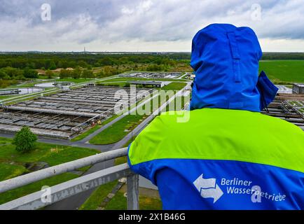 16. April 2024, Brandenburg, Münchehofe: Ein Mitarbeiter der Berliner Wasserbetriebe steht auf einem Turm und blickt über die Filterbecken der Kläranlage Münchehofe. Die Kläranlage Münchehofe befindet sich im brandenburgischen Stadtteil Märkisch-Oderland, nahe der Grenze zu Berlin. Auch das Abwasser der Firma Tesla wird hier im Auftrag des Wasserverbandes Strausberg-Erkner (WSE) behandelt. Foto: Patrick Pleul/dpa Stockfoto