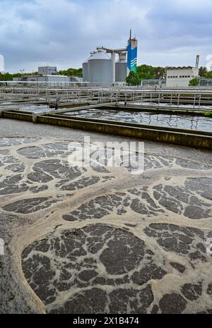 16. April 2024, Brandenburg, Münchehofe: Ein Filterbecken der biologischen Reinigung der Kläranlage Münchehofe der Berliner Wasserbetriebe. Die Kläranlage Münchehofe befindet sich im brandenburgischen Stadtteil Märkisch-Oderland nahe der Landesgrenze zu Berlin. Auch das Abwasser der Firma Tesla wird hier im Auftrag des Wasserverbandes Strausberg-Erkner (WSE) behandelt. Foto: Patrick Pleul/dpa Stockfoto