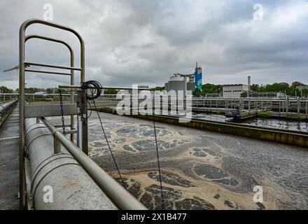 16. April 2024, Brandenburg, Münchehofe: Ein Filterbecken der biologischen Reinigung der Kläranlage Münchehofe der Berliner Wasserbetriebe. Die Kläranlage Münchehofe befindet sich im brandenburgischen Stadtteil Märkisch-Oderland nahe der Landesgrenze zu Berlin. Auch das Abwasser der Firma Tesla wird hier im Auftrag des Wasserverbandes Strausberg-Erkner (WSE) behandelt. Foto: Patrick Pleul/dpa Stockfoto