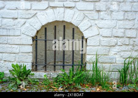 Vergitterte Kellergrube und Löwenzahn in der historischen Altstadt von Rostock, Mecklenburg-Vorpommern. Stockfoto