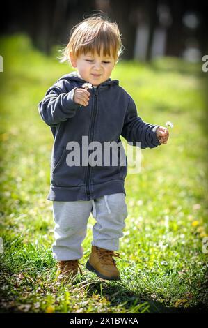 Glücklicher kleiner blonder Junge, der auf einem grünen Feld an bunten Blumen schnüffelt. Niedliches Kleinkind, das die Natur erkundet. Nahaufnahme Stockfoto