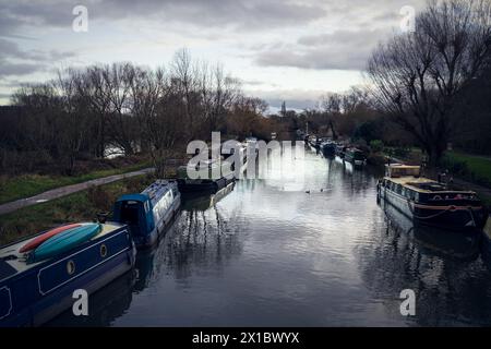 Hausboote auf dem Fluss Lea in Ware, Hertfordshire Stockfoto