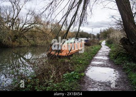 Hausboote auf dem Fluss Lea in Ware, Hertfordshire Stockfoto