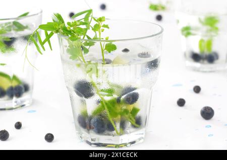 Drei erfrischende Getränke für heiße Tage, dekoriert mit grünen Blättern und Heidelbeeren. Stockfoto