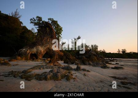 Felsformation hin Ta Lu am AOW Khao Kwai Buffalo Bay - Koh Phayam - Thailand, Februar 2024 *** Felsformation hin Ta Lu in AOW Khao Kwai Buffalo Bay Koh Phayam Thailand, Februar 2024 Stockfoto