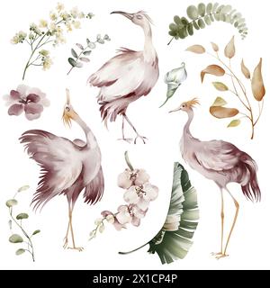 Pink Ibis Birds. Aquarellelemente von tropischen Vögeln, Blumen und Pflanzen. Bananenpflanzen und Orchideen, australischer Flamingo auf weißem Hintergrund. Stockfoto