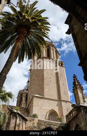 Barcelona, Spanien: Turm der Kathedrale Saint Eulalia, vom Hof aus gesehen (Kreuzgang), gotisches Viertel Stockfoto