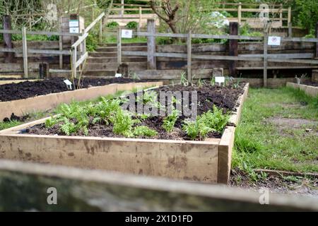 Um St. Werburgh herum, einem Vorort von Bristol UK, liegt die City Farm Stockfoto