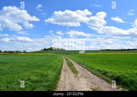 Schotterstraße im frühlingshaften Ackerland Stockfoto