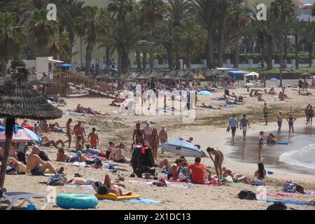 Los Cristianos, Teneriffa, 16. April 2024 - Touristen genießen Sonne, Sand und Meer in Los Cristianos auf Teneriffa, trotz anti-touristischer Wut unter einigen Einheimischen. Quelle: Stop Press Media/Alamy Live News Stockfoto