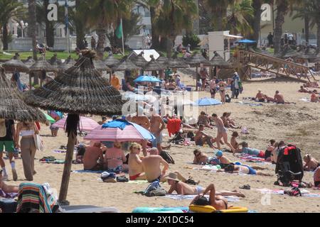 Los Cristianos, Teneriffa, 16. April 2024 - Touristen genießen Sonne, Sand und Meer in Los Cristianos auf Teneriffa, trotz anti-touristischer Wut unter einigen Einheimischen. Quelle: Stop Press Media/Alamy Live News Stockfoto