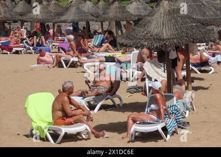 Los Cristianos, Teneriffa, 16. April 2024 - Touristen genießen Sonne, Sand und Meer in Los Cristianos auf Teneriffa, trotz anti-touristischer Wut unter einigen Einheimischen. Quelle: Stop Press Media/Alamy Live News Stockfoto