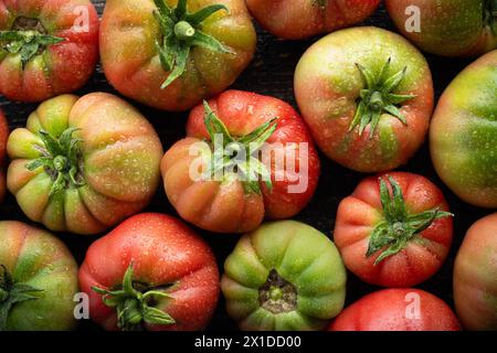 Köstliche rote Tomaten aus biologischem Anbau. Direkt vom Bauernhof zum Markt. Draufsicht. Frische Tomaten können als Hintergrund verwendet werden Stockfoto