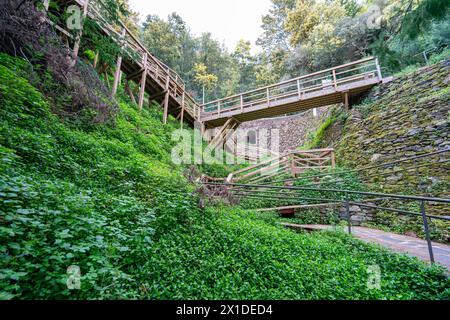 SRA da Piedade Holzsteg in Serra da Lousã-Portugal. Stockfoto