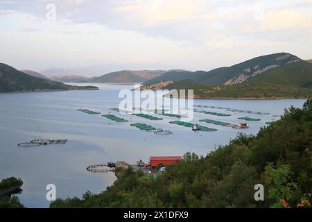 Die wunderschöne Landschaft des Koman-Sees in Albanien bei Shkoder Stockfoto