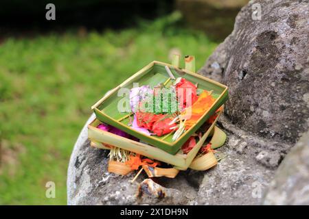 Canang Sari, das traditionelle balinesische Opfer für Götter in Bali mit Blumen und aromatischen Stäbchen Stockfoto