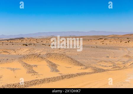 Orangen-Sanddünen im Richtersveld-Nationalpark, Südafrika Stockfoto