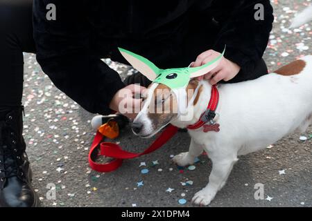 Hund in einem Yoda Kostüm Stockfoto