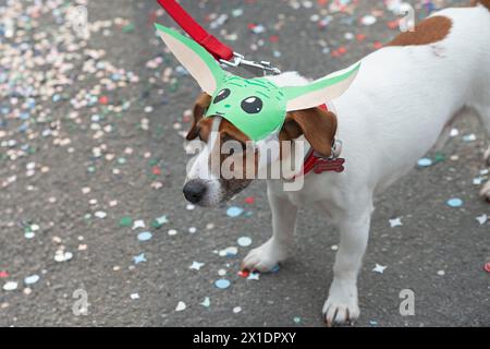 Hund in einem Yoda Kostüm Stockfoto