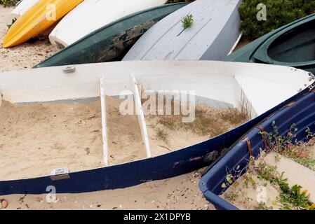 Pflanzen wachsen auf Booten, die am Strand liegen Stockfoto